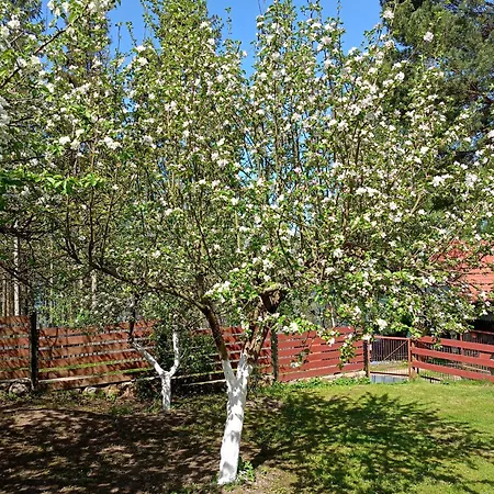 Casa vacanze Dom W Jablonkach Wakacje, Kaszuby, Chmielno, Sznurki Gwiezdna 24 Chmielno