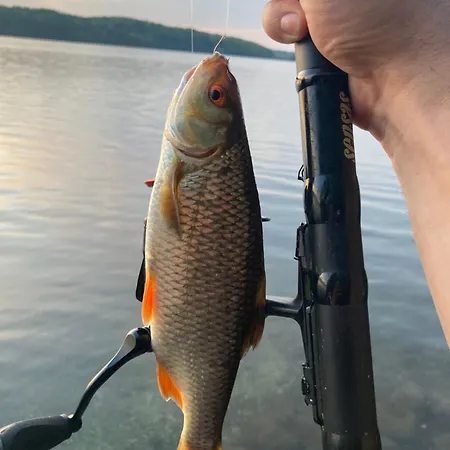 Dom W Jablonkach Wakacje, Kaszuby, Chmielno, Sznurki Gwiezdna 24 Chmielno