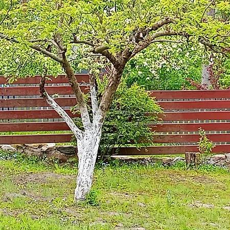 Dom W Jablonkach Wakacje, Kaszuby, Chmielno, Sznurki Gwiezdna 24