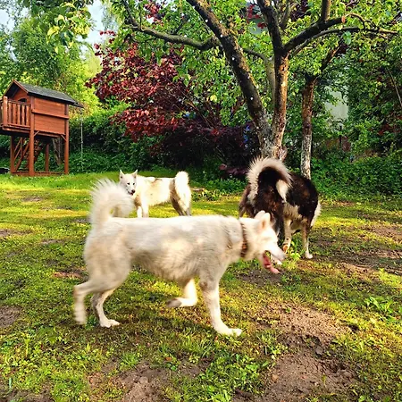 Casa vacanze Dom W Jablonkach Wakacje, Kaszuby, Chmielno, Sznurki Gwiezdna 24 Chmielno