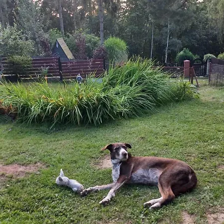 Dom W Jablonkach Wakacje, Kaszuby, Chmielno, Sznurki Gwiezdna 24 *