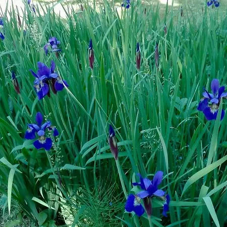 Casa vacanze Dom W Jablonkach Wakacje, Kaszuby, Chmielno, Sznurki Gwiezdna 24