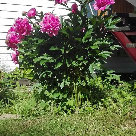 Dom W Jablonkach Wakacje, Kaszuby, Chmielno, Sznurki Gwiezdna 24