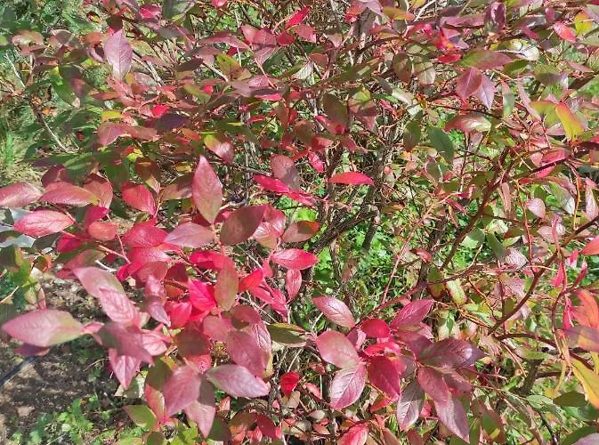 Dom W Jablonkach Wakacje, Kaszuby, Chmielno, Sznurki Gwiezdna 24