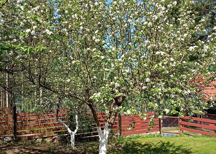 بيت للعطل Dom W Jablonkach Wakacje, Kaszuby, Chmielno, Sznurki Gwiezdna 24 تشميلنا