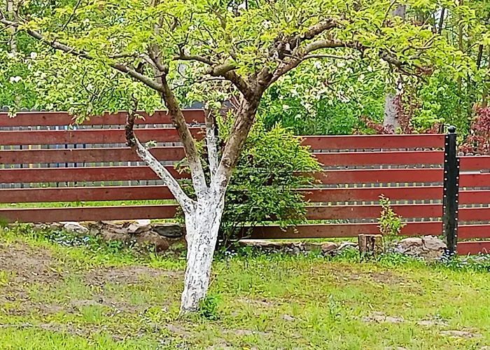 Dom W Jablonkach Wakacje, Kaszuby, Chmielno, Sznurki Gwiezdna 24