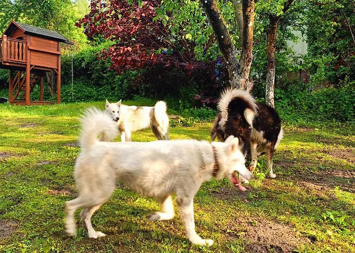 بيت للعطل Dom W Jablonkach Wakacje, Kaszuby, Chmielno, Sznurki Gwiezdna 24 تشميلنا