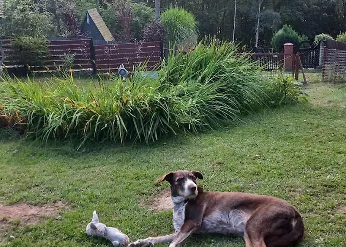 Dom W Jablonkach Wakacje, Kaszuby, Chmielno, Sznurki Gwiezdna 24 *