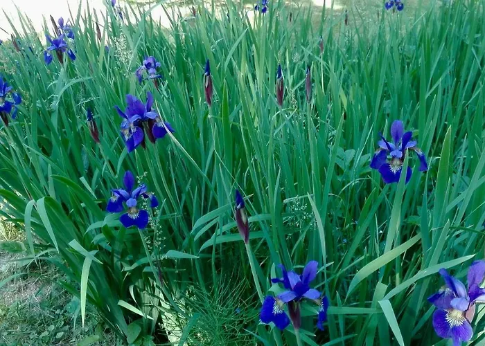 بيت للعطل Dom W Jablonkach Wakacje, Kaszuby, Chmielno, Sznurki Gwiezdna 24