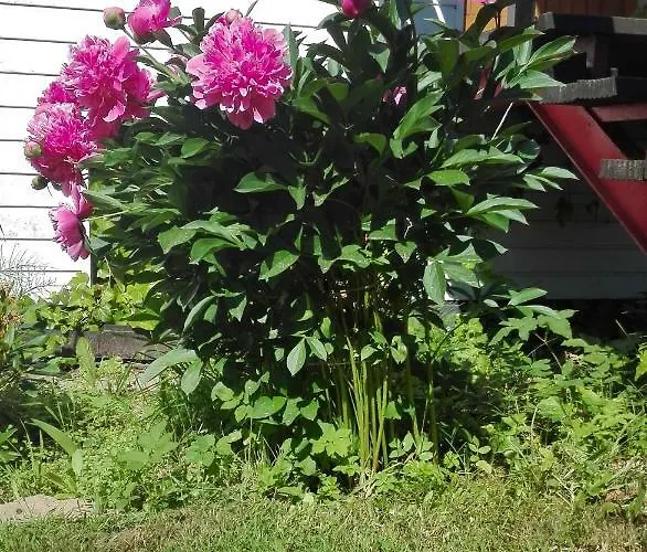 Dom W Jablonkach Wakacje, Kaszuby, Chmielno, Sznurki Gwiezdna 24